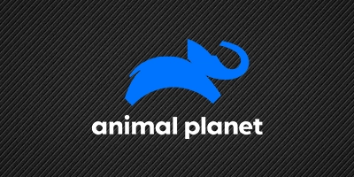 Logo Animal planet